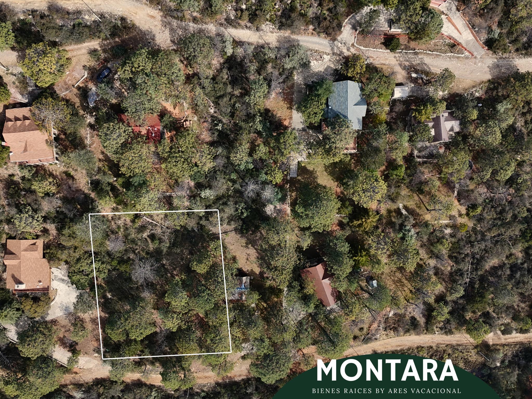 Terreno de oportunidad rodeado de pinos – Bosques de Monterreal