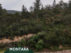 Terreno residencial en Bosques de Monterreal con vista panorámica – 2,200 m²
