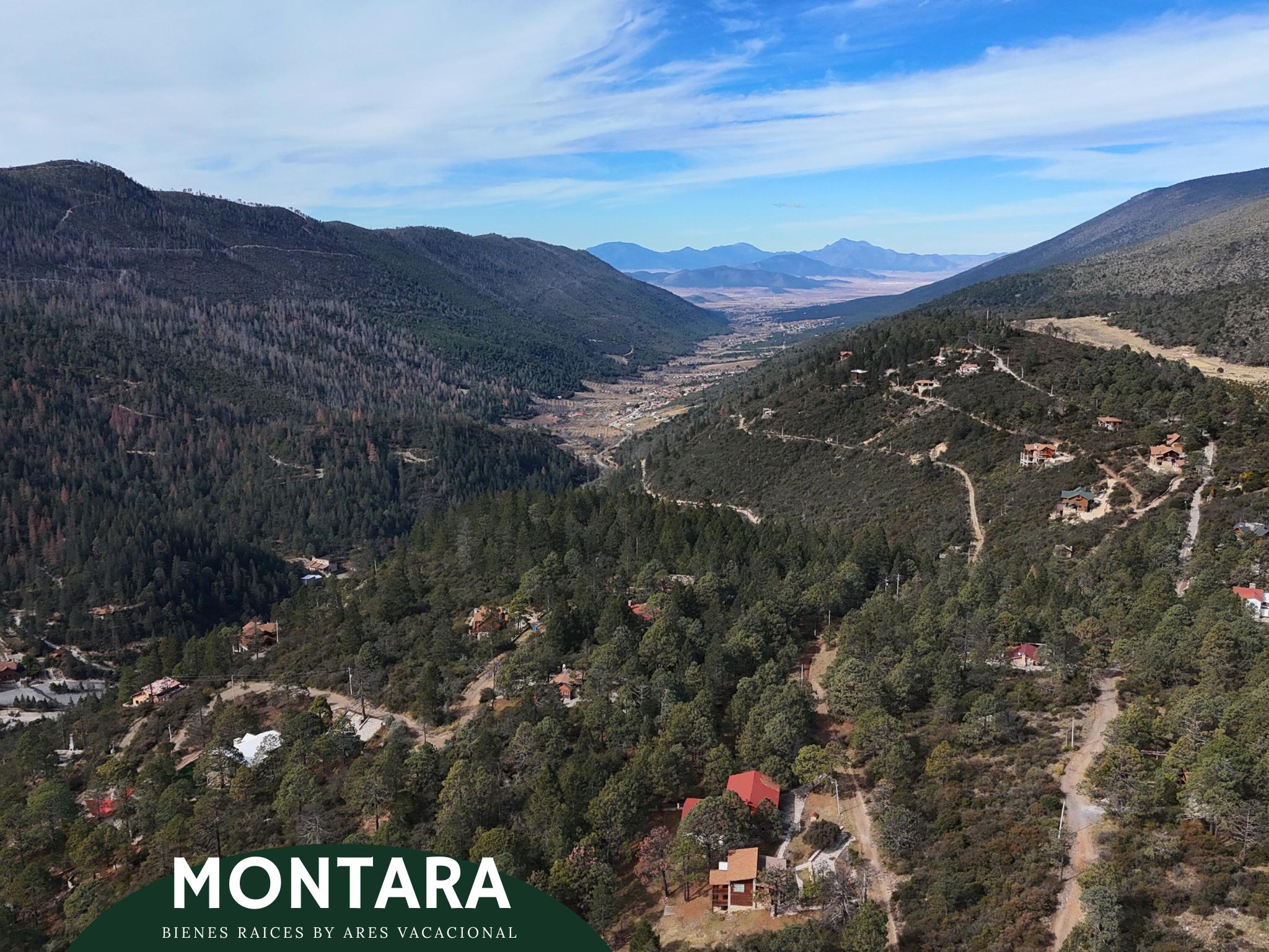 Terreno de oportunidad rodeado de pinos – Bosques de Monterreal