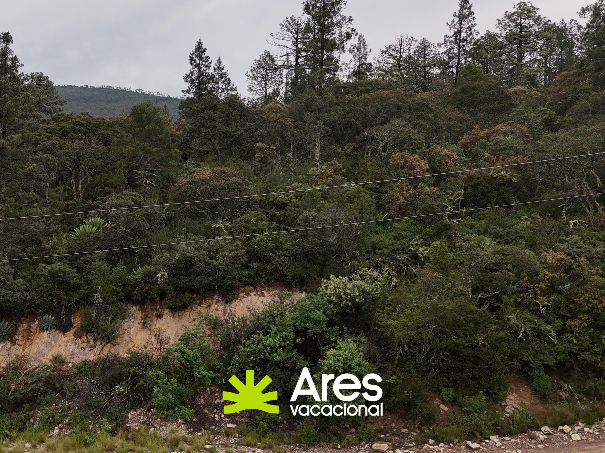 Terreno campestre de 2,200 m² con vista panorámica – Bosques de Monterreal