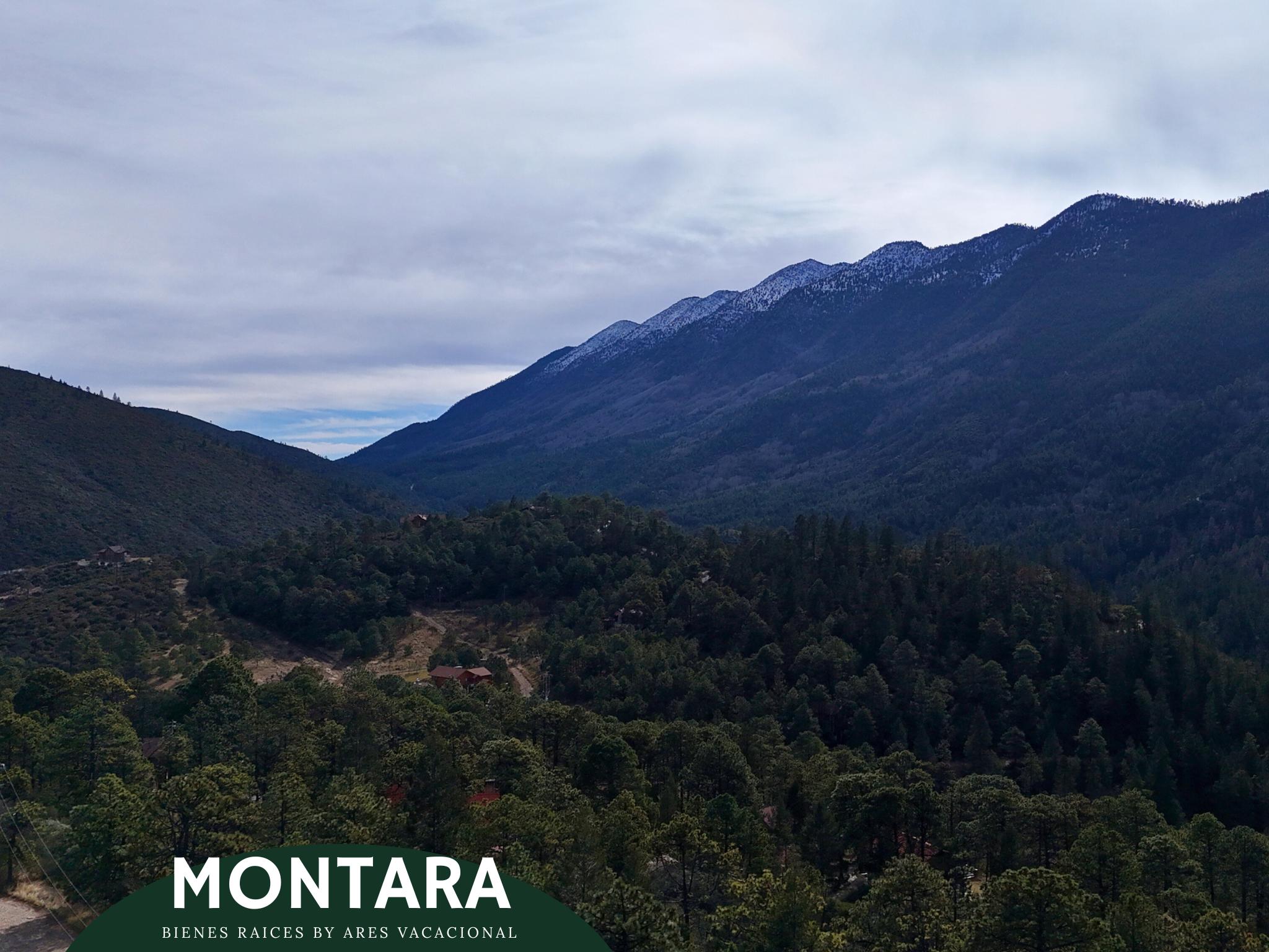 Terreno de oportunidad rodeado de pinos – Bosques de Monterreal