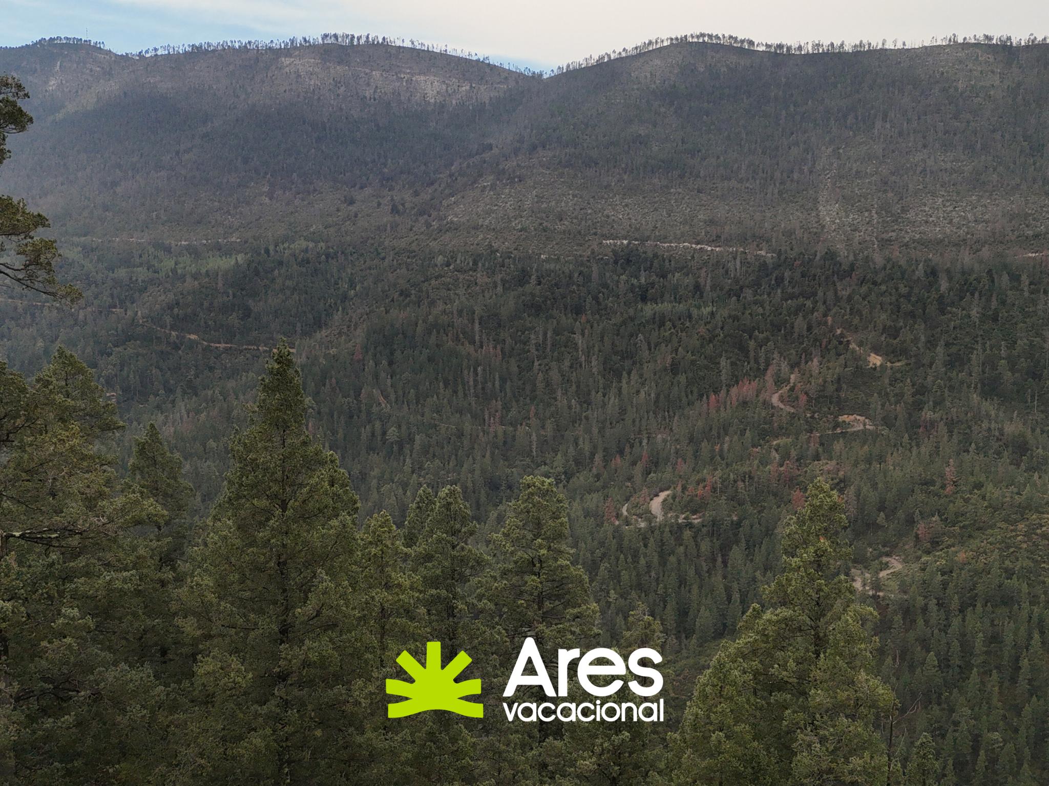 Terreno campestre de 2,200 m² con vista panorámica – Bosques de Monterreal