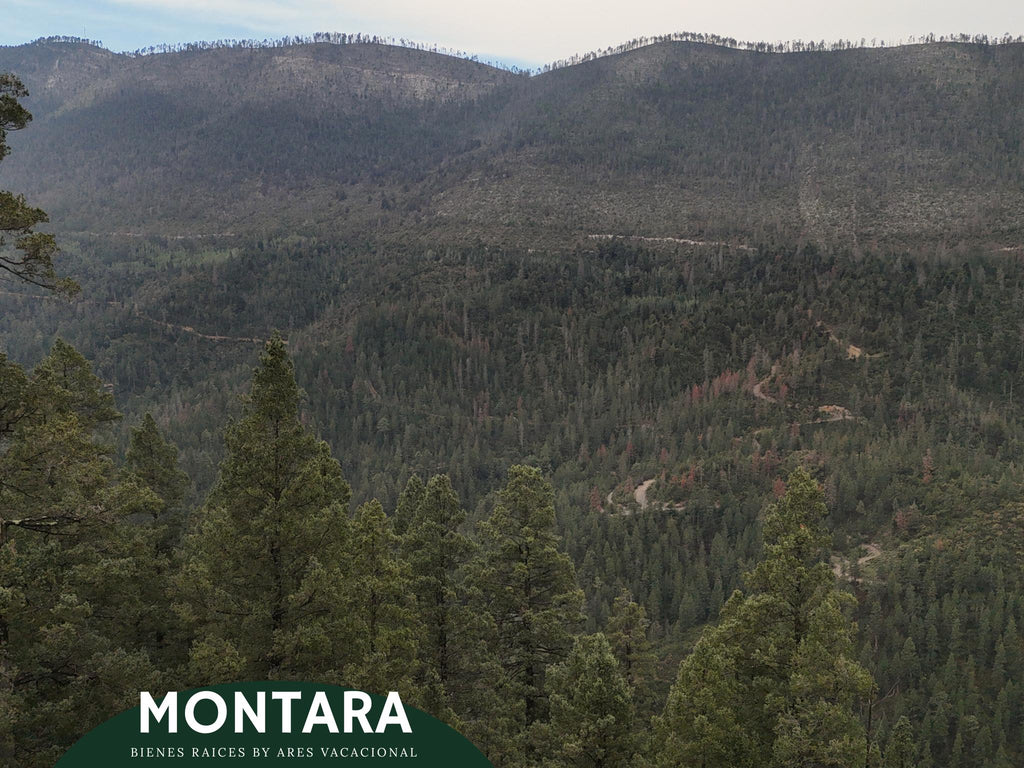 Terreno residencial en Bosques de Monterreal con vista panorámica – 2,200 m²