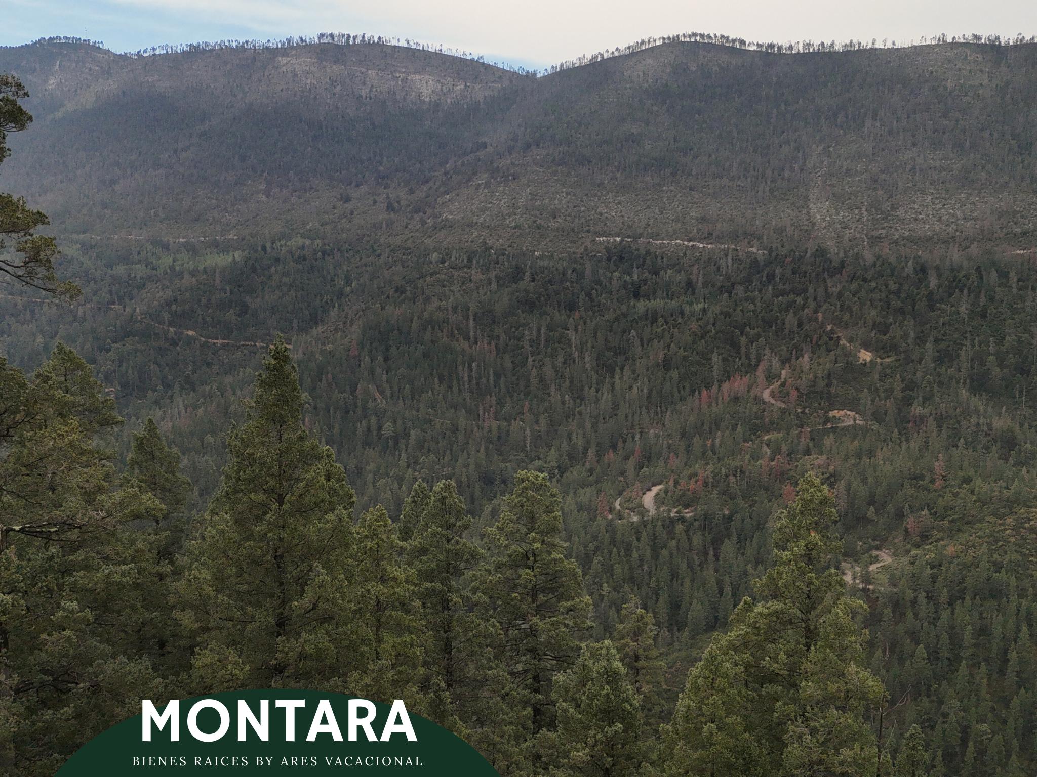 Terreno residencial en Bosques de Monterreal con vista panorámica – 2,200 m²