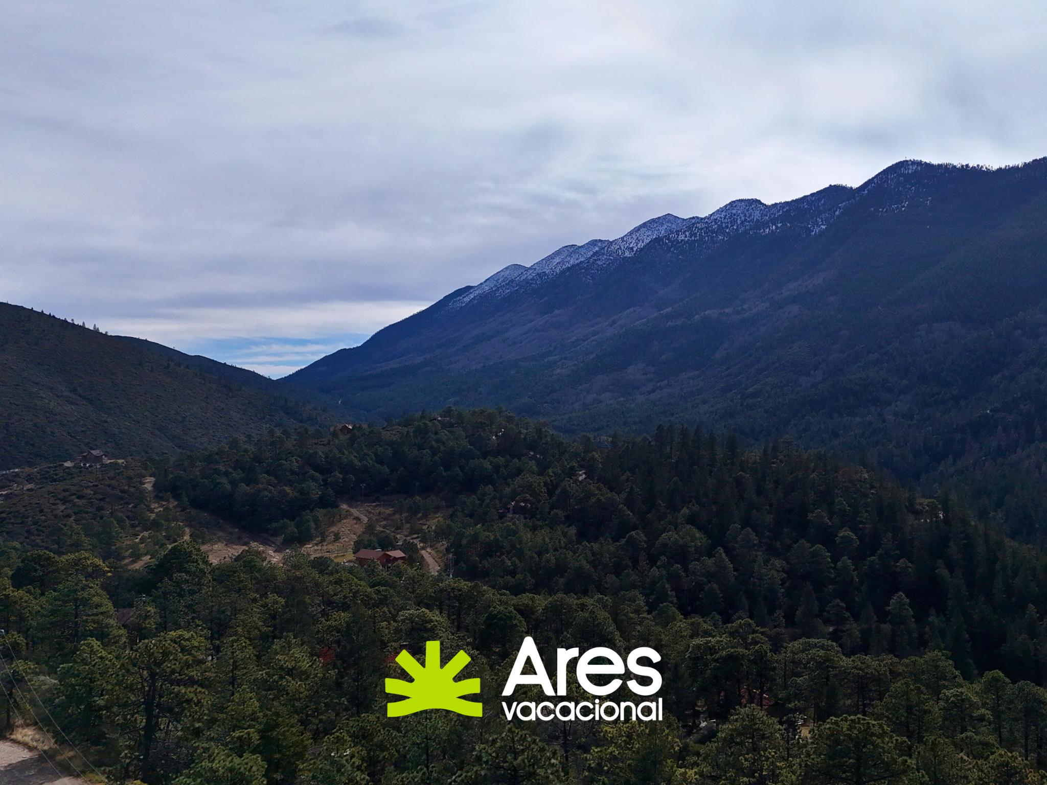 Terreno de 1,800 m² rodeado de pinos – Bosques de Monterreal